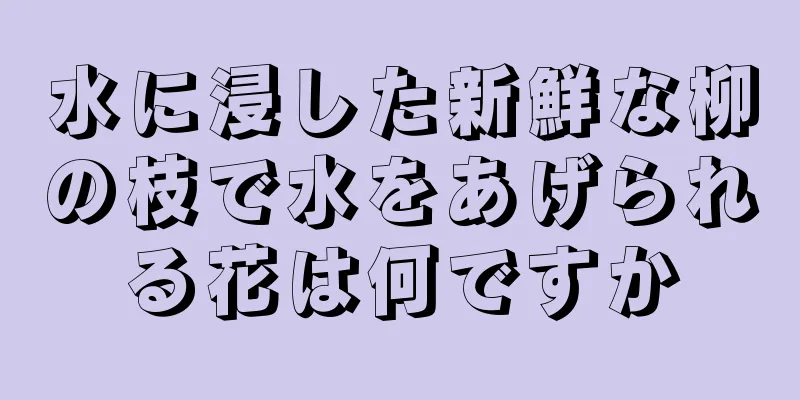 水に浸した新鮮な柳の枝で水をあげられる花は何ですか