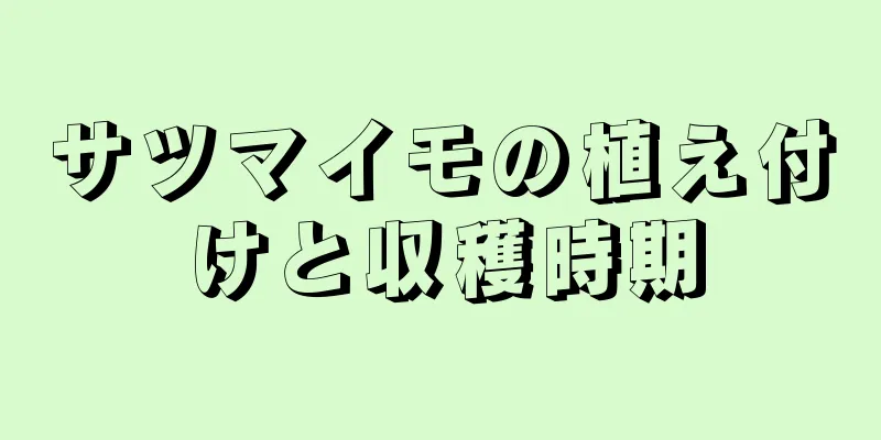 サツマイモの植え付けと収穫時期