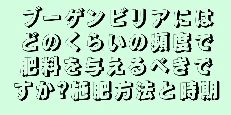 ブーゲンビリアにはどのくらいの頻度で肥料を与えるべきですか?施肥方法と時期