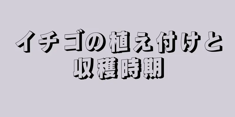 イチゴの植え付けと収穫時期