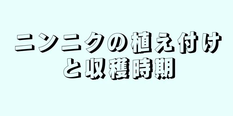 ニンニクの植え付けと収穫時期