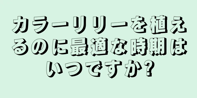 カラーリリーを植えるのに最適な時期はいつですか?