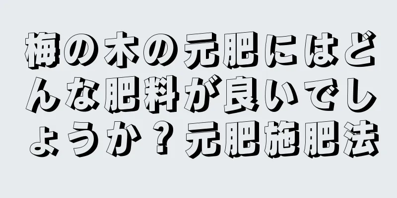 梅の木の元肥にはどんな肥料が良いでしょうか？元肥施肥法