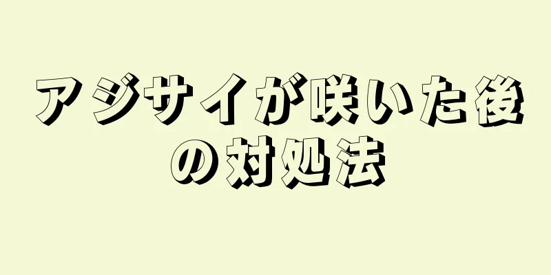 アジサイが咲いた後の対処法