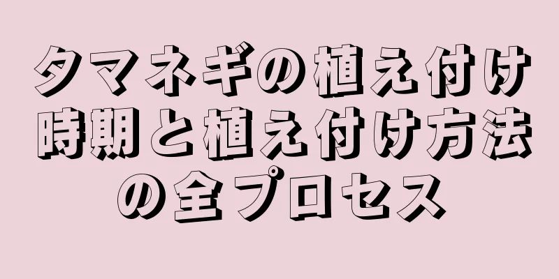 タマネギの植え付け時期と植え付け方法の全プロセス