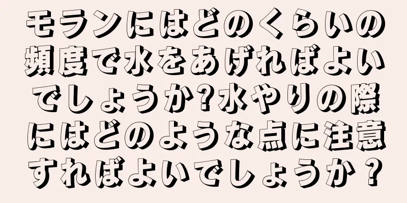 モランにはどのくらいの頻度で水をあげればよいでしょうか?水やりの際にはどのような点に注意すればよいでしょうか？