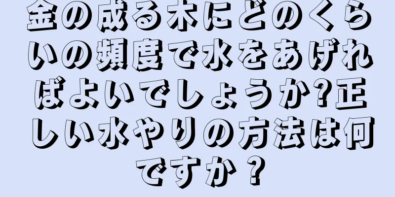 金の成る木にどのくらいの頻度で水をあげればよいでしょうか?正しい水やりの方法は何ですか？