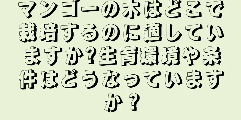 マンゴーの木はどこで栽培するのに適していますか?生育環境や条件はどうなっていますか？