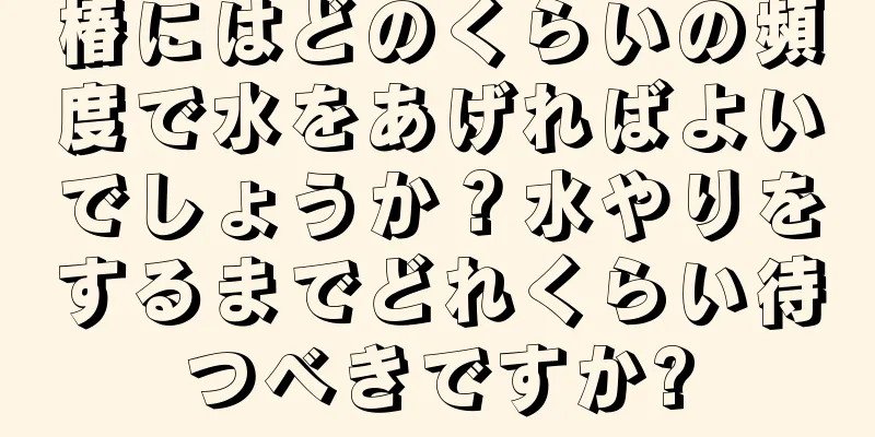 椿にはどのくらいの頻度で水をあげればよいでしょうか？水やりをするまでどれくらい待つべきですか?