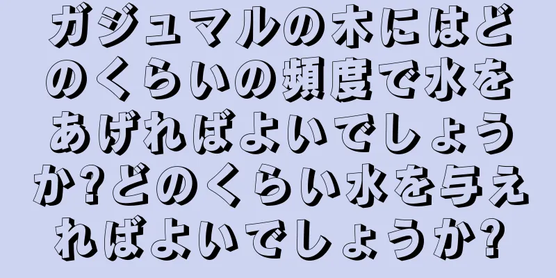 ガジュマルの木にはどのくらいの頻度で水をあげればよいでしょうか?どのくらい水を与えればよいでしょうか?