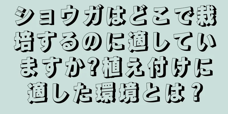 ショウガはどこで栽培するのに適していますか?植え付けに適した環境とは？