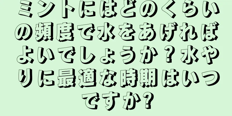 ミントにはどのくらいの頻度で水をあげればよいでしょうか？水やりに最適な時期はいつですか?