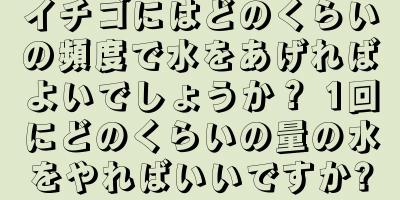 イチゴにはどのくらいの頻度で水をあげればよいでしょうか？ 1回にどのくらいの量の水をやればいいですか?