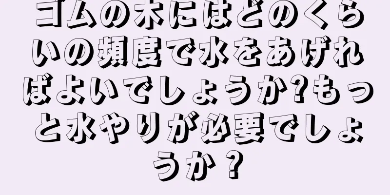 ゴムの木にはどのくらいの頻度で水をあげればよいでしょうか?もっと水やりが必要でしょうか？