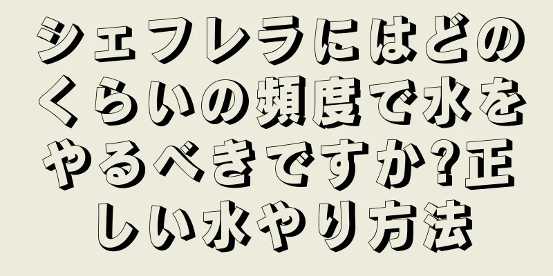 シェフレラにはどのくらいの頻度で水をやるべきですか?正しい水やり方法