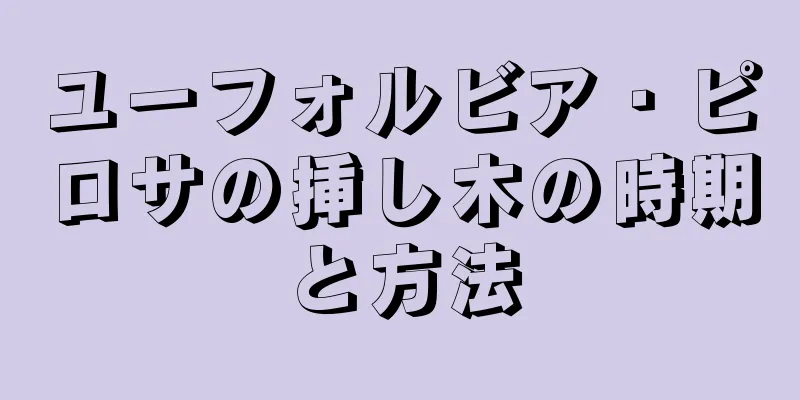 ユーフォルビア・ピロサの挿し木の時期と方法