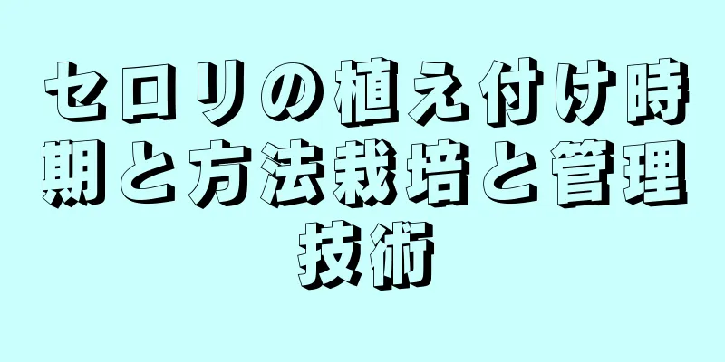 セロリの植え付け時期と方法栽培と管理技術