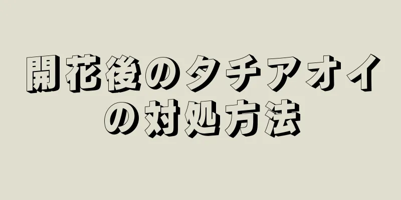 開花後のタチアオイの対処方法