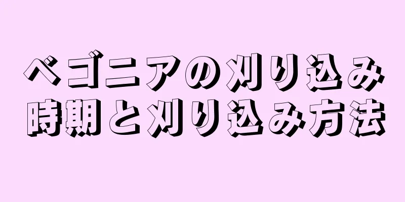 ベゴニアの刈り込み時期と刈り込み方法