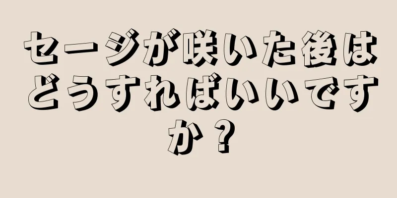 セージが咲いた後はどうすればいいですか？