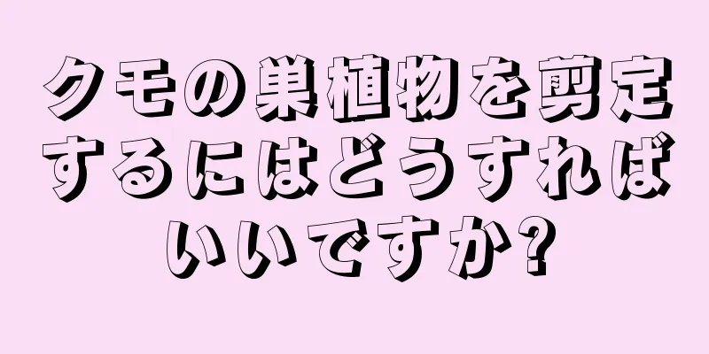 クモの巣植物を剪定するにはどうすればいいですか?