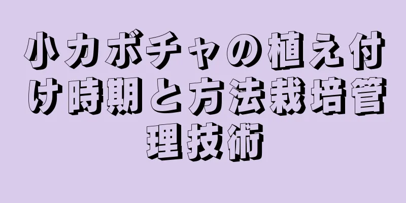 小カボチャの植え付け時期と方法栽培管理技術