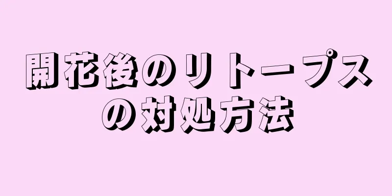 開花後のリトープスの対処方法