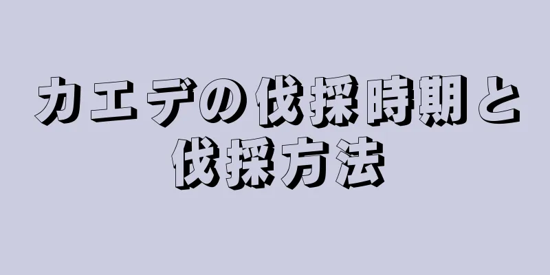カエデの伐採時期と伐採方法