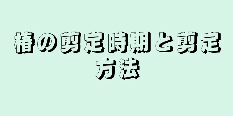 椿の剪定時期と剪定方法