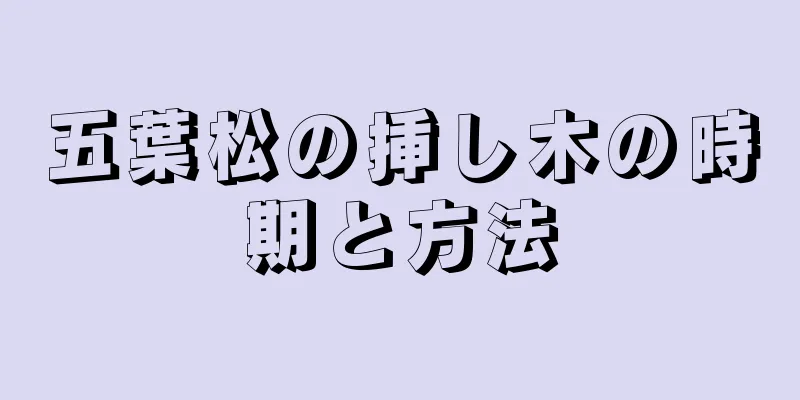 五葉松の挿し木の時期と方法