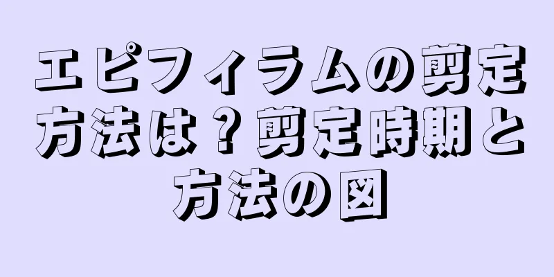 エピフィラムの剪定方法は？剪定時期と方法の図