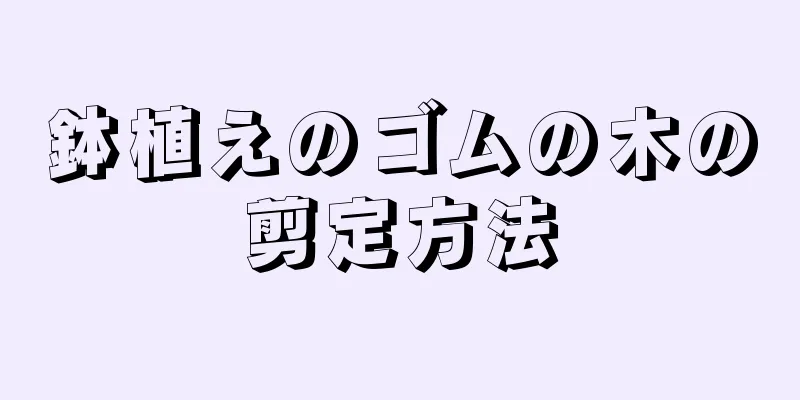 鉢植えのゴムの木の剪定方法