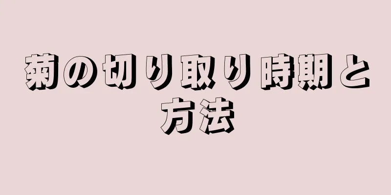 菊の切り取り時期と方法