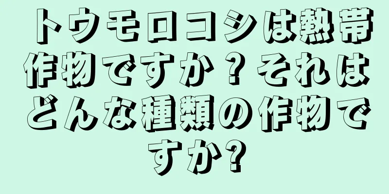 トウモロコシは熱帯作物ですか？それはどんな種類の作物ですか?