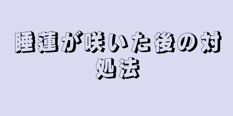 睡蓮が咲いた後の対処法