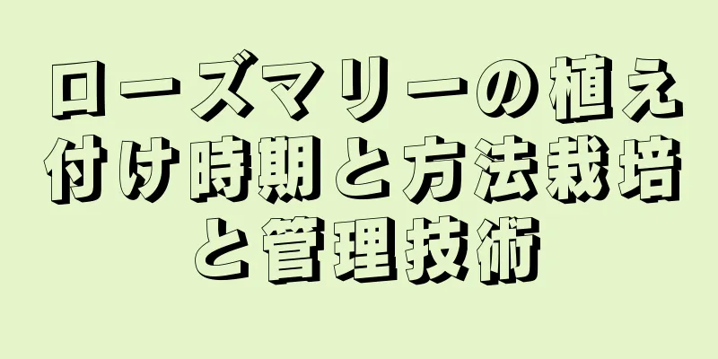 ローズマリーの植え付け時期と方法栽培と管理技術