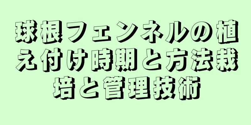 球根フェンネルの植え付け時期と方法栽培と管理技術