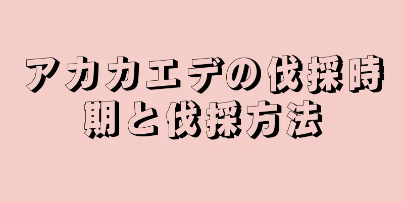 アカカエデの伐採時期と伐採方法