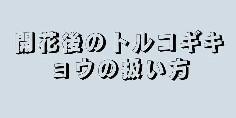 開花後のトルコギキョウの扱い方