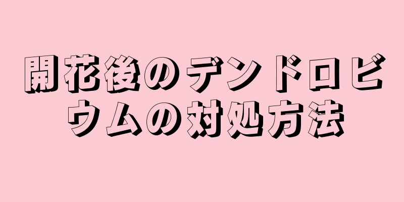 開花後のデンドロビウムの対処方法