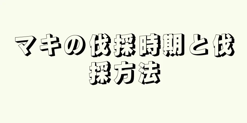 マキの伐採時期と伐採方法