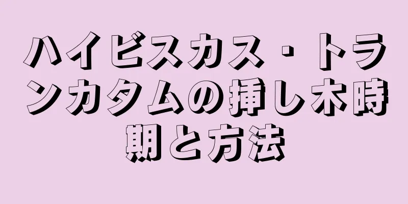 ハイビスカス・トランカタムの挿し木時期と方法