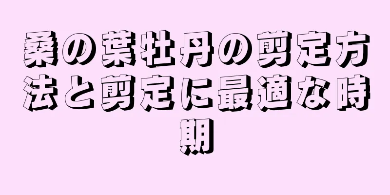 桑の葉牡丹の剪定方法と剪定に最適な時期