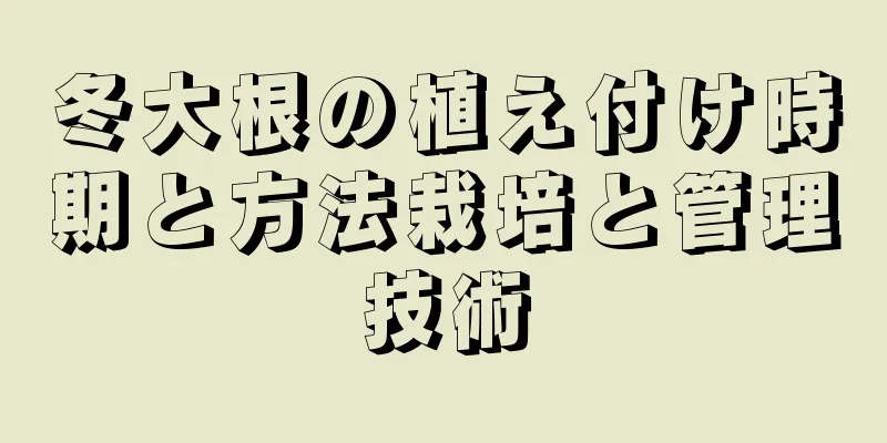 冬大根の植え付け時期と方法栽培と管理技術