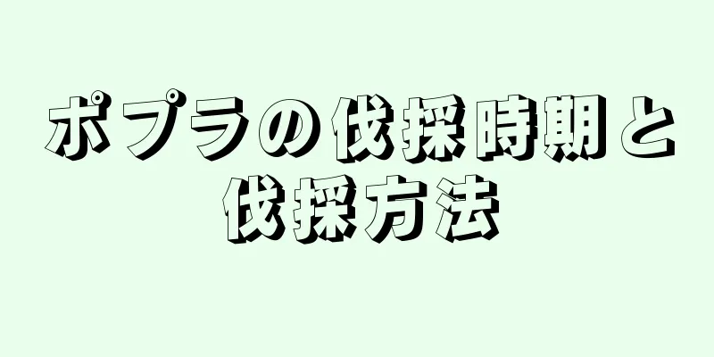 ポプラの伐採時期と伐採方法