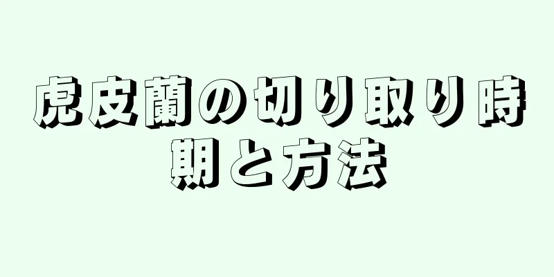 虎皮蘭の切り取り時期と方法