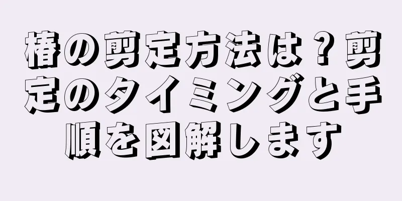 椿の剪定方法は？剪定のタイミングと手順を図解します