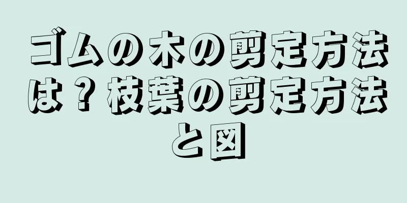 ゴムの木の剪定方法は？枝葉の剪定方法と図