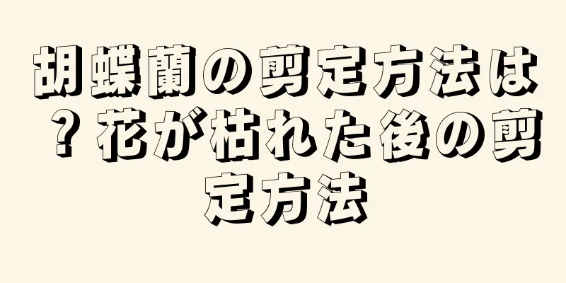 胡蝶蘭の剪定方法は？花が枯れた後の剪定方法