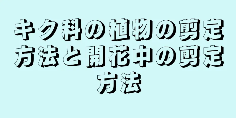 キク科の植物の剪定方法と開花中の剪定方法